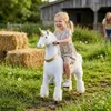 Licorne Vrooomy sur roulettes – Petite monture pour enfants Voir les images du produit 2