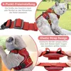 Ensemble de gamelle pour chat avec laisse, anti-évasion, Voir les images du produit 6