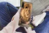 MuchoWow® Handyhülle Schutzhülle Hülle für Huawei P30 Lite Produktbild-Vorschau 3