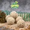 A pile of bird food balls with a green spiral in the background and some dried mealworms scattered around. Produktbild-Vorschau