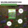 Wildblumenmischung - 100 g Samen für Wildblumenwiese - Produktbild-Vorschau 3