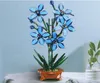 Orchidej Cymbidium v květináči, stavební bloky ke Náhled obrázku produktu 9