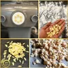A collage showing a pasta maker, a hand holding pasta, and piles of dried pasta. Produktbild-Vorschau