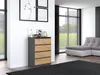 Topeshop M4 ANTRACYT/ARTISAN, Anthrazit, Eiche, 4 Produktbild-Vorschau 9