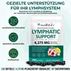 Complément alimentaire Lymphatic Support, 240 gélules Voir les images du produit 2