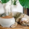 A cat is sleeping next to an aroma diffuser with steam coming out. Podgląd zdjęcia produktu