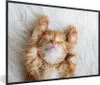 MuchoWow® Gerahmtes Poster Katze - Rot - Haustiere - Produktbild-Vorschau 1