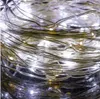 A close-up view of a tangled string of white and silver LED lights. Voir les images du produit