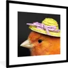 MuchoWow® Gerahmtes Poster Vogel - Hut - Orange 40x40 cm - Produktbild-Vorschau 1