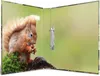 HERMA, animales del bosque en 2D, formato A4, para Vista previa de la imagen del producto 11