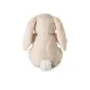Cloud b® Love Light Buddies - Billy Bunny ™ Nočné svetielko Náhľad obrázku produktu 11