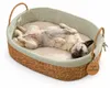 Hundebett aus Wasserhyazinthe 83 cm | Baumwolle Grün | Produktbild-Vorschau 1