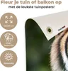 Gartenposter - 120x80 cm - Sumatra-Tiger-Porträt  - Produktbild-Vorschau 4