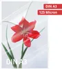 Folia do laminowania OLYMPIA, DIN A3, 125 mikronów, 50 Podgląd zdjęcia produktu 4