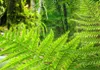 Akustikbild Landschaft 200x100 cm Bilder Akustikschaum Produktbild-Vorschau 4