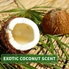 Kitama Aroma Massageöl Kokos 1-Liter 1L I Pflegendes Produktbild-Vorschau 3