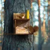 WISFOR Eichhörnchen Futterhaus, mit transparenten Produktbild-Vorschau 5