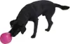 Hundespielzeug BUSTER Futterwürfel Kirsche 12cm, L Produktbild-Vorschau 5