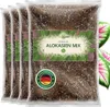 OraGarden Alokasien Erde 12 Liter Produktbild-Vorschau 1