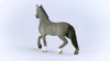 Schleich Horse Club Cheval de Selle Francaise Hengst 13956 Produktbild-Vorschau 8