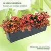 MePla - Blumenkasten Balcony Standard 100 cm anthrazit Produktbild-Vorschau 6