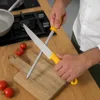 HOOZ Profi Fleischmesser Set 10-teilig – Messer für Produktbild-Vorschau 9