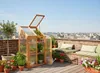 BELIANI Mini-Gewächshaus Hellbraun Holz u. Polycarbonat 3 Produktbild-Vorschau 2