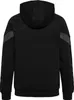 hummel hmlTRAVEL SWEAT HOODIE BLACK BLACK M Produktbild-Vorschau 2