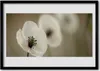 Bild 70x50 MDF-Rahmen Wandkunst Natur Blume Pflanze Produktbild-Vorschau 1