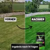 Greenyp Langzeit Rasendünger I 30kg für 900m² I mit Produktbild-Vorschau 3