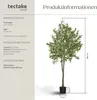 Umělý olivovník Oleand, realistická textura - 180 cm Náhled obrázku produktu 13