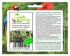10x Drosanthemum speciosum Sukkulent Garten Pflanzen - Produktbild-Vorschau 1