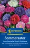 Kiepenkerl Sommerastersamen Amerikanische Busch-Mischung Produktbild-Vorschau 1