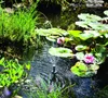 A close-up view of a solar-powered pond pump with a fountain spraying water, surrounded by lily pads and aquatic plants. Anteprima dell’immagine prodotto