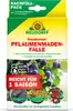 Neudorff Neudomon PflaumenmadenFalle Nachfüllpack 1 Stk. Produktbild-Vorschau 1
