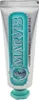 Marvis Classic Strong Mint Toothpaste 25ml Produktbild-Vorschau 4