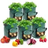 Veggie Bag 35 x 50 cm vrece na pestovanie zeleniny, 1 ks Náhľad obrázku produktu 2