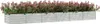 A long, rectangular planter filled with dense, flowering plants. Náhľad obrázku produktu