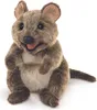 Folkmanis Handpuppe Kurzschwanzkänguru 3170 Känguru 36 cm Produktbild-Vorschau 7