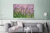 MuchoWow® Poster Rosa Tulpen im Frühling 120x80 cm - Bilder Produktbild-Vorschau 5