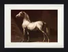 Theodore Géricault Gerahmtes Bild Mit Edlem Passepartout | Produktbild-Vorschau 1
