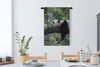 MuchoWow® Wandteppich Wandbehang Panda - Baum - Tiere - Produktbild-Vorschau 4
