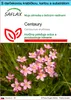 SAFLAX Darčeková sada - Centaury - Centaurium erythraea - Náhľad obrázku produktu 1