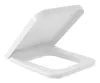 Villeroy & Boch Architectura WC-Sitz 9M58 455x60x383mm - Produktbild-Vorschau 6