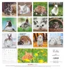 Kaninchen 2026 - Broschürenkal. 30x30 cm (30x60 geöffnet) Produktbild-Vorschau 2