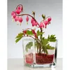 SANDRA RICH Vase en forme de boîte, hauteur : 95 mm, Voir les images du produit 7