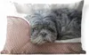 MuchoWow® Outdoor Kissen - Shih Tzu-Hündin auf ihrem Bett Produktbild-Vorschau 1