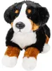Carl Dick Berneński pies pasterski, pies, ok. 40 cm 1542001 Podgląd zdjęcia produktu 12