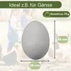 6x Legeeier Kunsteier Nesteier Gipseier Bruteier Fasanen Produktbild-Vorschau 2