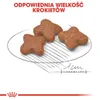 Royal Canin Mini Adult +8 - 2 kg Náhľad obrázku produktu 7